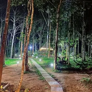 Tall Trees - Modern Forest In Wayanad Sultan Bathery